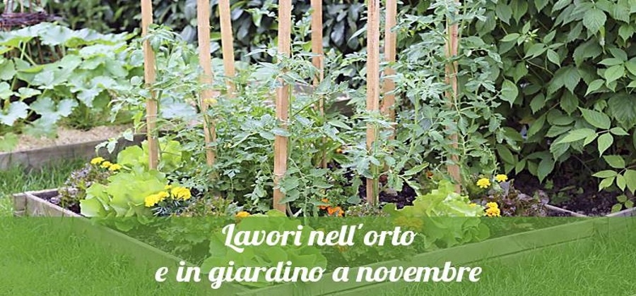 Cosa coltivare nell&#039;orto ed in giardino a novembre?